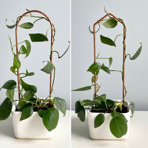 Mini Plant Trellis, Small Copper Trellis, Minimal Plant Trellis, Simple Arch Trellis for Small Plant, Mini Plant Support, Set of 2 or Single