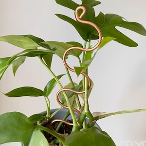 Copper Serpent Plant Stake, Curvy Plant Support, Monstera Supports, Climbing Plant Stake, Hoya Support, 2 Length Options
