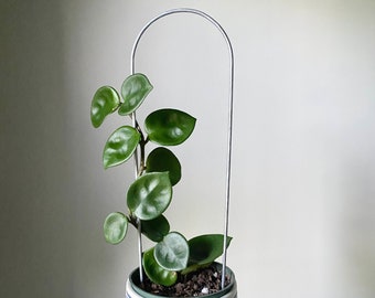Steel Arch Trellis, Arch Plant Support, U Shaped Plant Trellis, Indoor Plant Trellis, 4 Size Options