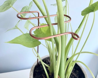 Décoration de plante d'intérieur de pieu de plante de papillon en verre  souillé sans plomb -  France