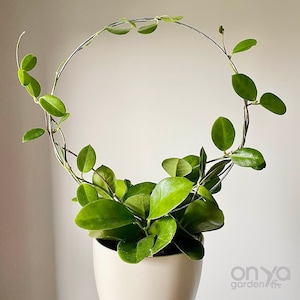 Steel Circle Trellis, Hoop Plant Trellis, Indoor Plant Support, Hoya Trellis, Trellis for Houseplants, 3 Size Options