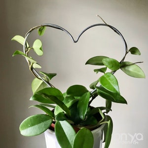 Steel Heart Trellis, Heart Plant Trellis, House Plant Trellis, Plant Gift, House Plant Support, Plant Lover Gift, Heart Trellis, 3 Sizes