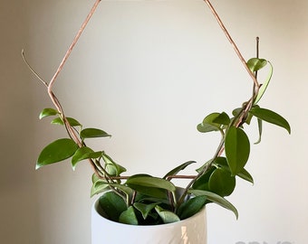 Copper Hexagon Plant Trellis, Geometric Honeycomb Support