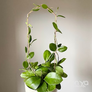 Copper Pointed Arch Trellis, Trellis for Indoor and Outdoor Plants, Modern Plant Support, Plant Trellis, Pointed Arch Support, 4 Sizes