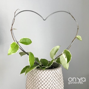 Steel Heart Trellis, Heart Plant Trellis, House Plant Trellis, Plant Gift, House Plant Support, Plant Lover Gift, Heart Trellis, 3 Sizes