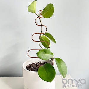 Tree Plant Stick, Decorative Plant Support Stake, Copper Plant Support, Curvy Plant Stake