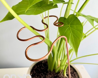 Estaca Splash para plantas, soporte decorativo de cobre para plantas, estaca para plantas de interior, soporte para varios tallos, soportes para tallos