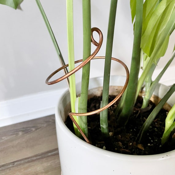 Copper Twirl and Whirl Plant Sticks, Decorative Plant Stakes – On Ya Garden