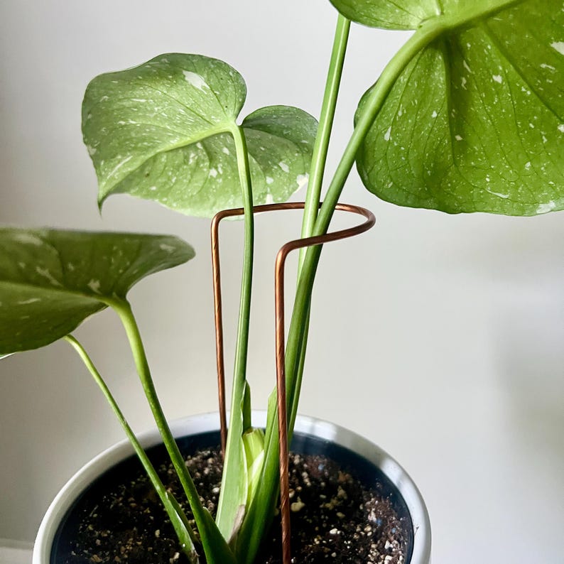 Copper Crescent Plant Stake, Garden Plant Supports, Half Hoop Plant Stand, Leaning Plant Support, 3 Sizes 9" Copper Crescent