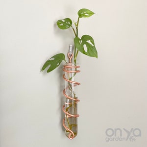Copper Spiral Propagation Hanger, Propagation Station for Plant Cuttings, Hanging Propagation Station, Hanging Glass Bud Vase, Plant Gifts