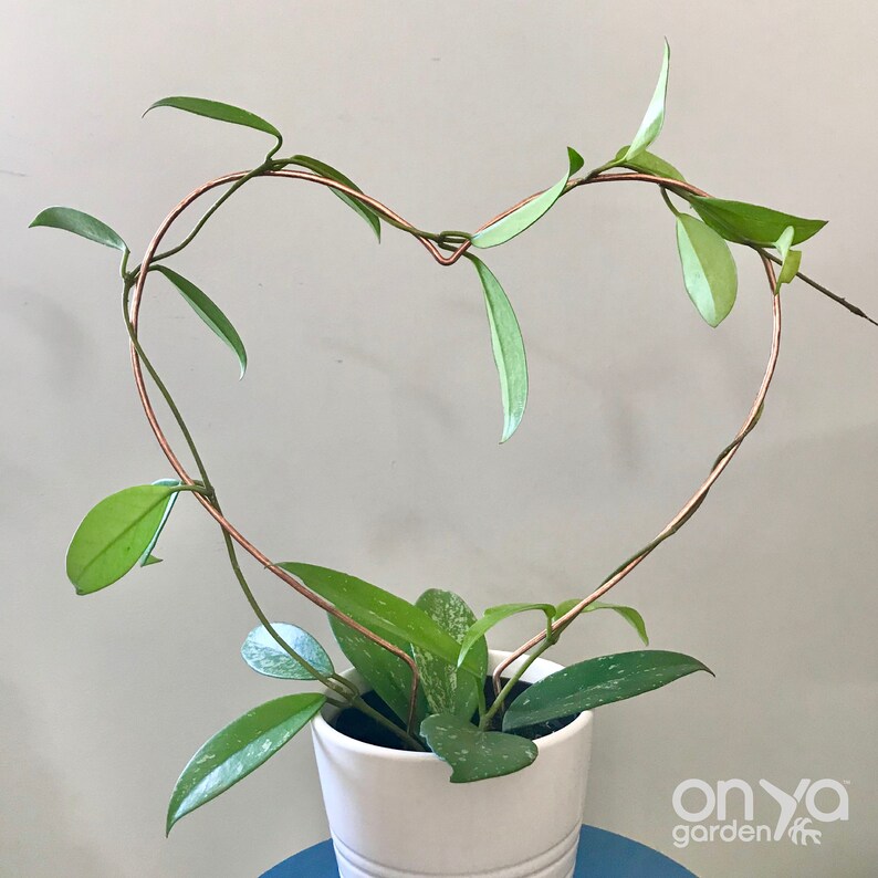 Copper Heart Wire Trellis Heart Shaped House Plant Support Etsy