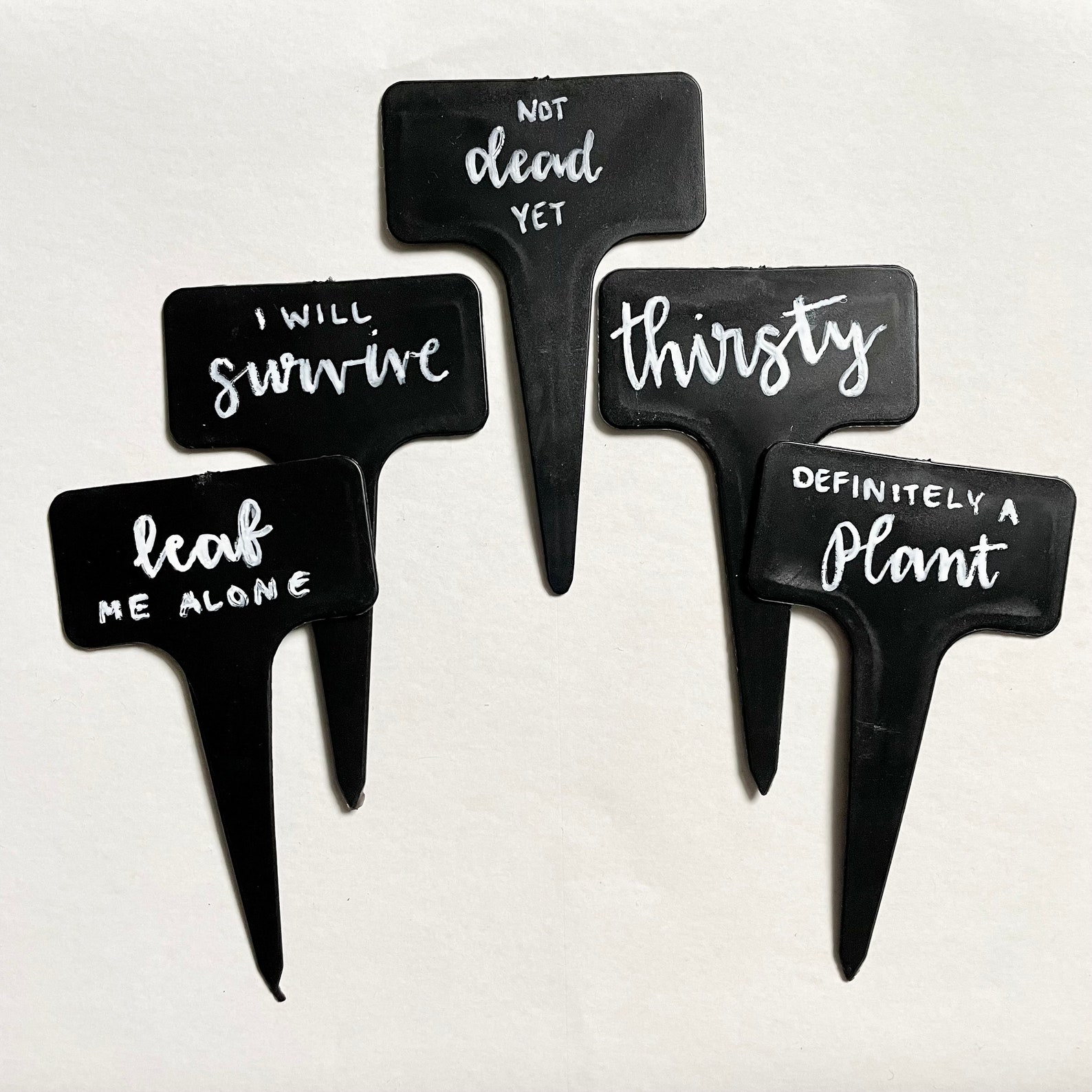 Funny Plant Tags Hand Lettered Funny Plant Labels Plant Etsy