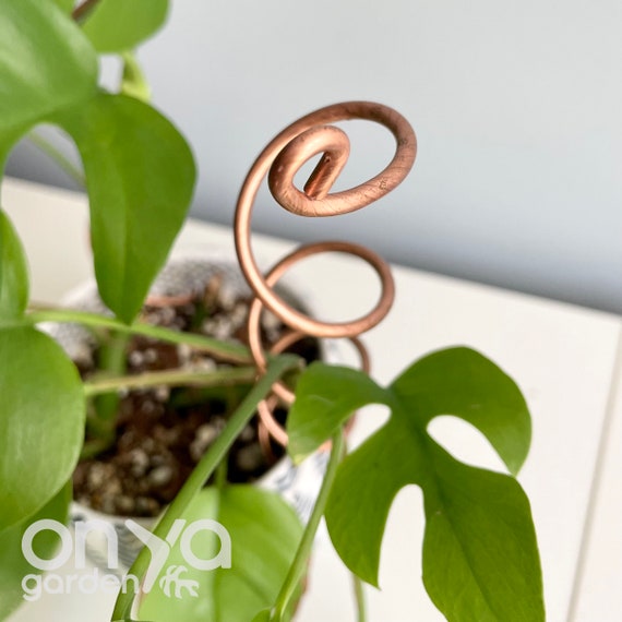 copper wire for propergating plants｜TikTok Search