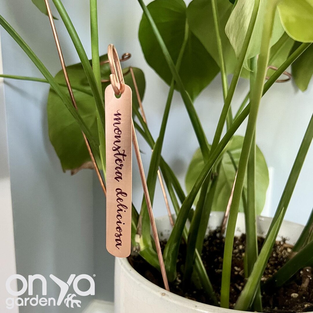 Copper Tags Copper Plant Labels, Garden Plant Markers, Garden Copper Plant Tags ...