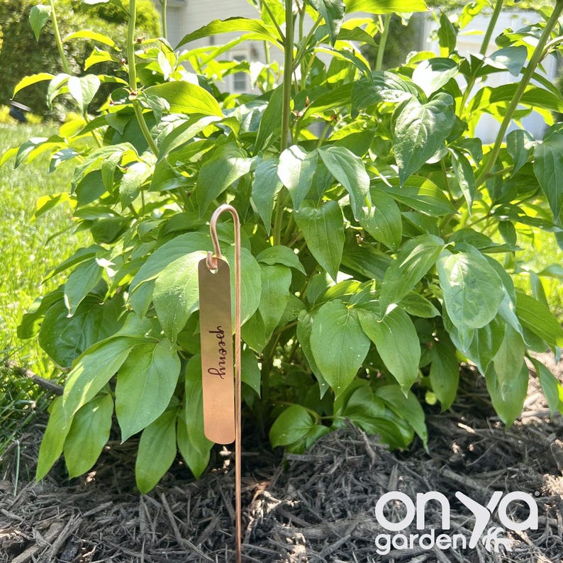 Copper Tags Copper Plant Labels, Garden Plant Markers, Garden Copper Plant Tags ...