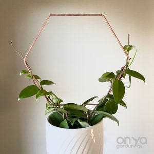 Hexagon Trellis, Hexagon Plant Trellis, Hoya Trellis, Indoor House Plant Trellis, Copper or Steel, Honeycomb Trellis, Indoor Plant Trellis