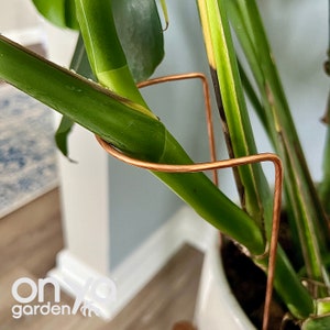 Leaning Plant Support - Etsy
