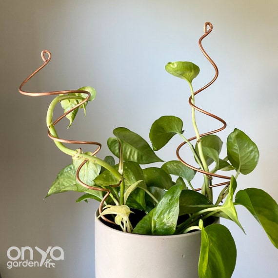 Spiral Plant Supports, Copper Twirl & Whirl Plant Sticks, Decorative Plant  Stakes, Set of 2 or Individual - Etsy Israel