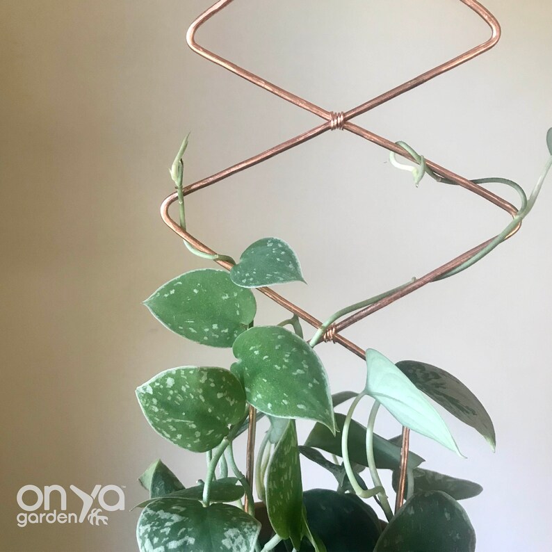 Copper Diamond Duo Wire Trellis Geometric Trellis for House Etsy