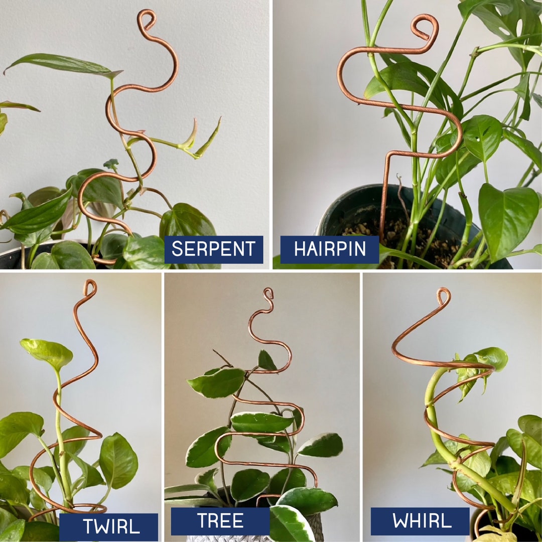 copper wire for plants on sticks｜TikTok Search