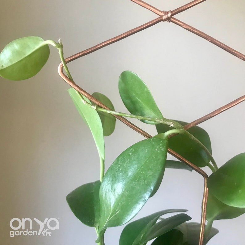 Copper Diamond Duo Wire Trellis Geometric Trellis for House Etsy