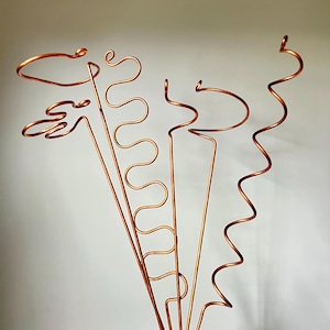 XL Plant Stake, Copper Plant Support for Tall Plant, Leaning Stem Support, 24" or 36" Plant Stake, Extra Long Plant Stick, 6 Design Options