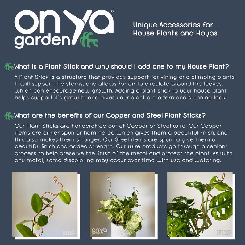 May include: Two house plants with copper and steel plant sticks. The text "Onya Garden" is visible in the image. The text "What is a Plant Stick and why should I add one to my House Plant?" is visible in the image. The text "What are the benefits of our Copper and Steel Plant Sticks?" is visible in the image.