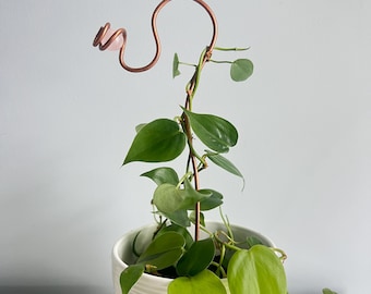 May include: A copper plant stake with a rose quartz accent, supporting a green leafy plant in a white ceramic pot. The stake has a decorative swirl design at the top. The plant has heart-shaped leaves.