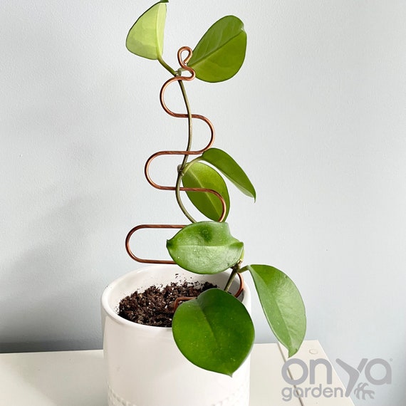 long planter box indoor Groove Stainless Steel & Wood Indoor Wall Planter  Kanju Interiors