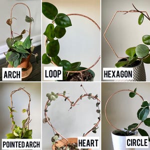 Copper Small Plant Trellis, Small Plant Supports, Trellis for Smaller Plants, 6 Design Options