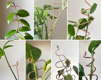 Copper Plant Supports, Plant Sticks, Monstera Supports, Gardening Plant Stakes, Metal Plant Supports, Multiple Design Options