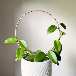 Copper Loop Circle Trellis, Hoop Trellis, Hoya Trellis, Trellis for Indoor Plant, Circle Trellis, Round Trellis, 3 Sizes, Plant Lover Gift
