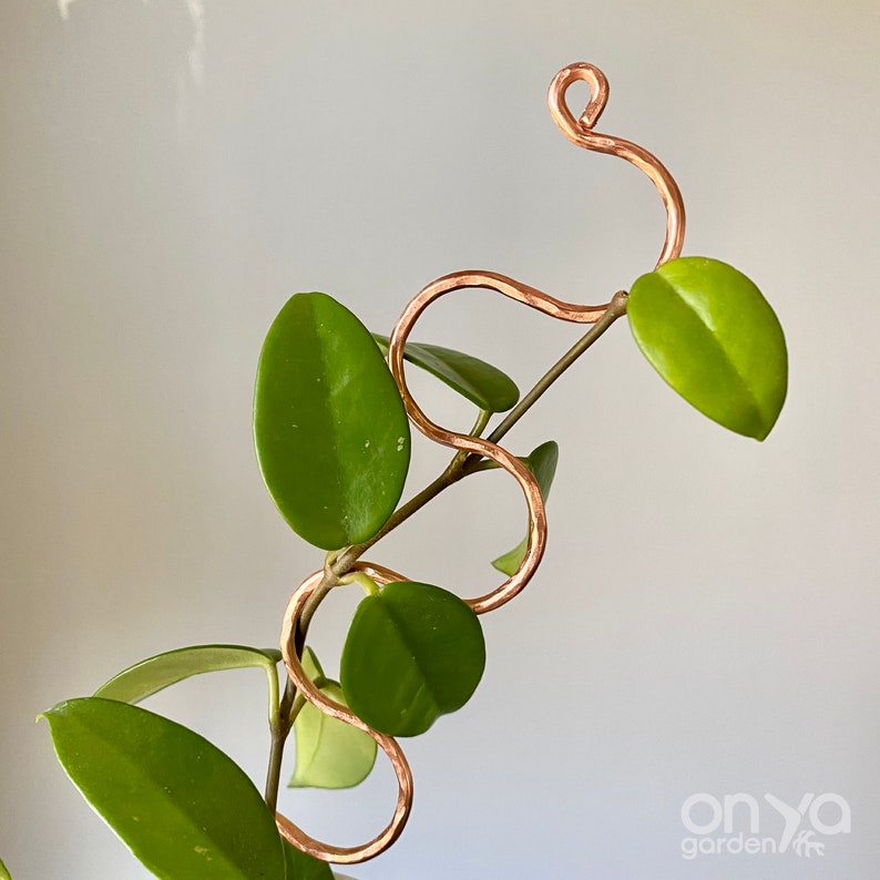 Copper Plant Sticks Gardening Stakes Decorative Plant Etsy