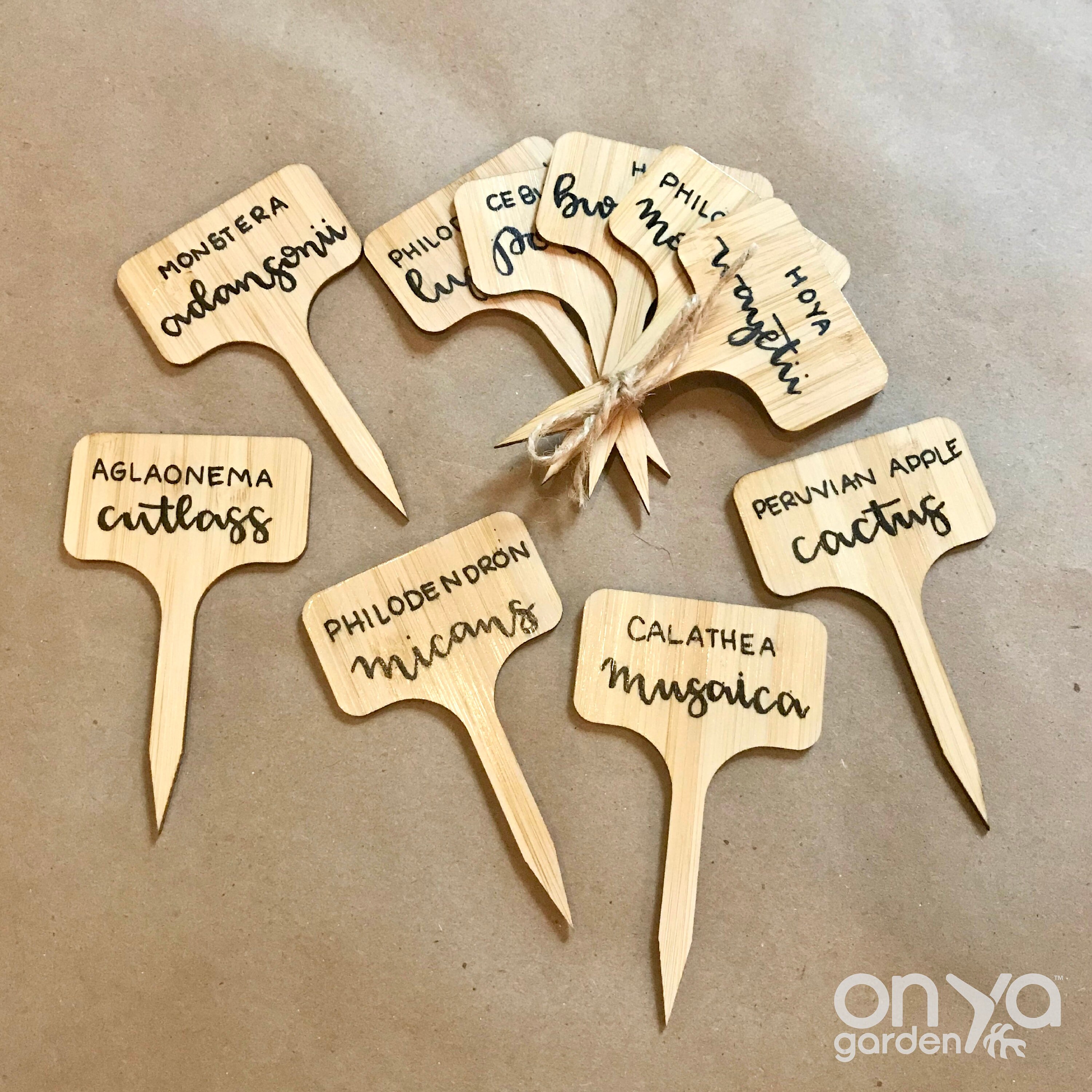 Hand Lettered Custom Plant Labels Houseplant Name Tags Etsy