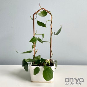 Pointed Arch Trellis, Modern Plant Support, Hoya Trellis, Geometric Obelisk Trellis, Minimal Plant Support, 4 Sizes, Copper or Steel Wire