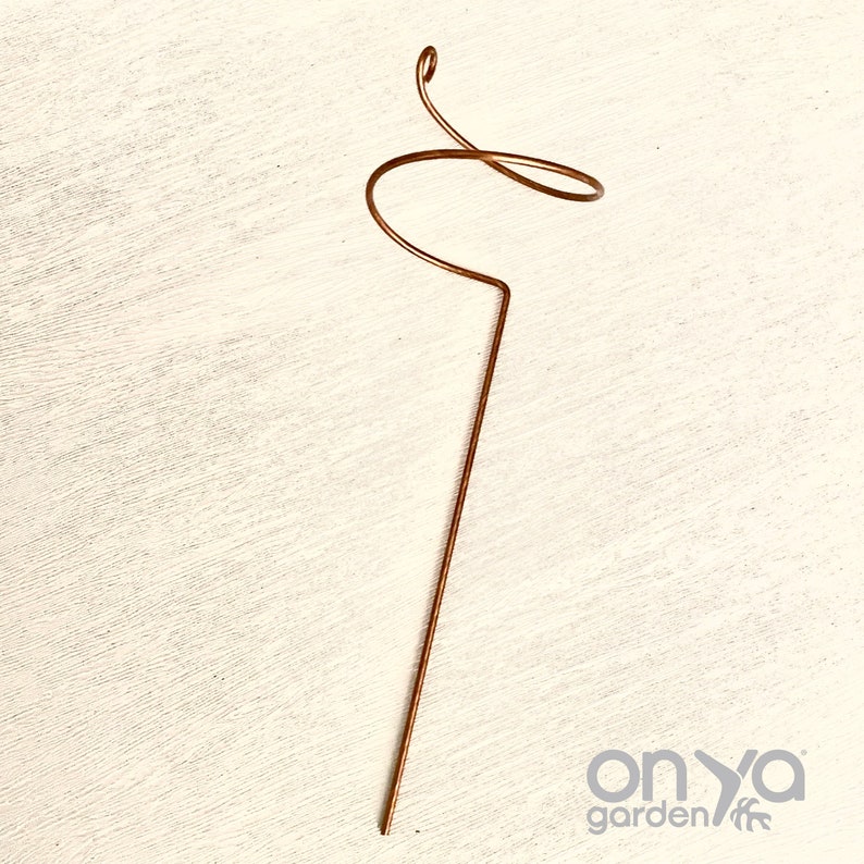 May include: A copper-coloured metal plant support with a spiral design. The support is designed to help plants grow upright.