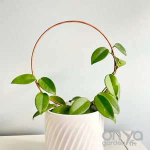 Loop Plant Trellis, Hoop Circle Trellis, Minimal Plant Support, Plant Lover Gift, Hoya Trellis, Copper or Steel, 4 sizes, Modern Trellis