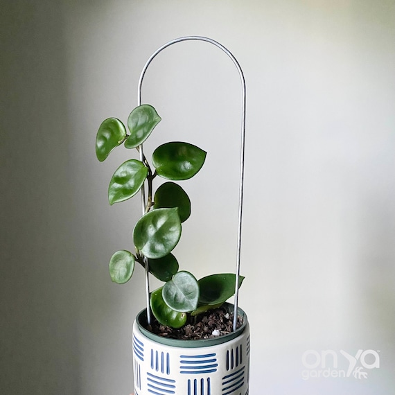 Steel Arch Trellis, Arch Plant Support, U Shaped Plant Trellis, Indoor  Plant Trellis, 4 Size Options - Etsy