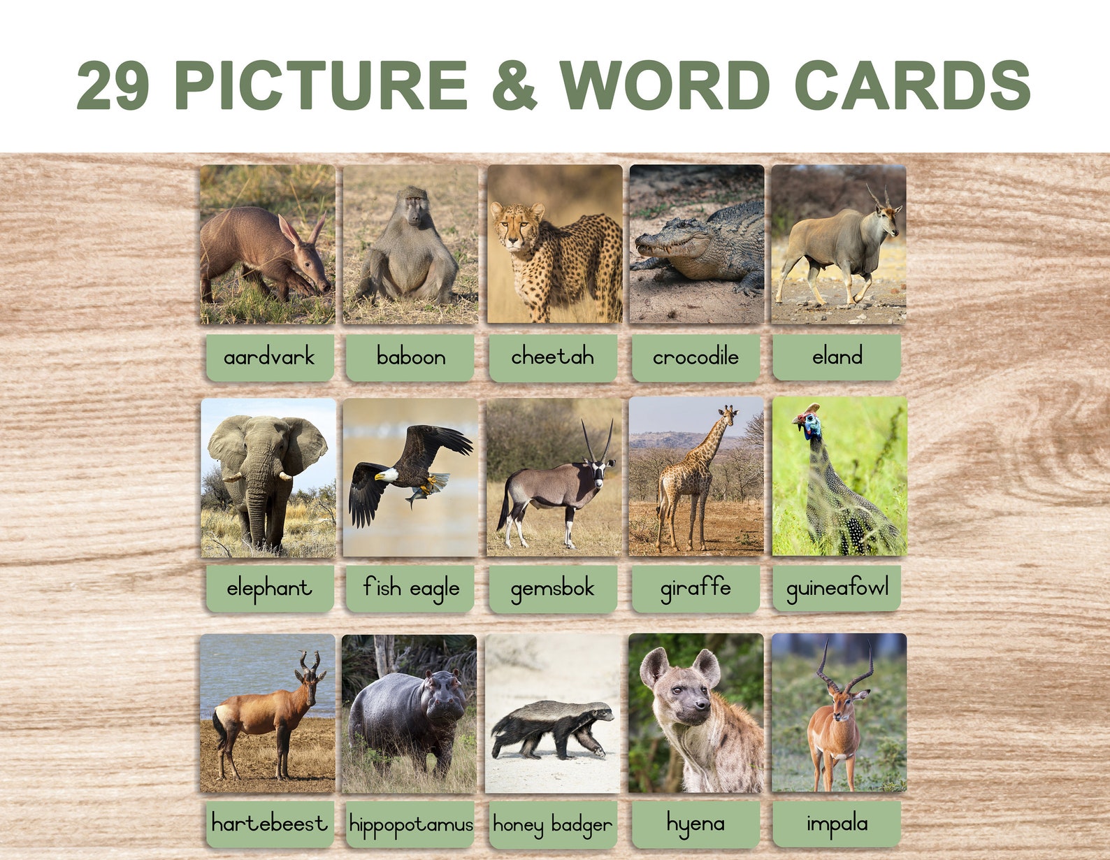 Safari Animals • Printable Flash Cards • 3 Part Cards • Montessori Cards • BONUS Letter Tracing ...
