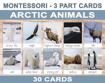Arctic Animals • Printable Flash Cards • 3 Part Cards • Montessori Cards • BONUS Letter Tracing