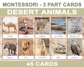 Desert Animals • Printable Flash Cards • 3 Part Cards • Montessori Cards • BONUS Letter Tracing
