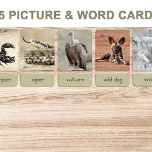 Desert Animals • Printable Flash Cards • 3 Part Cards • Montessori ...