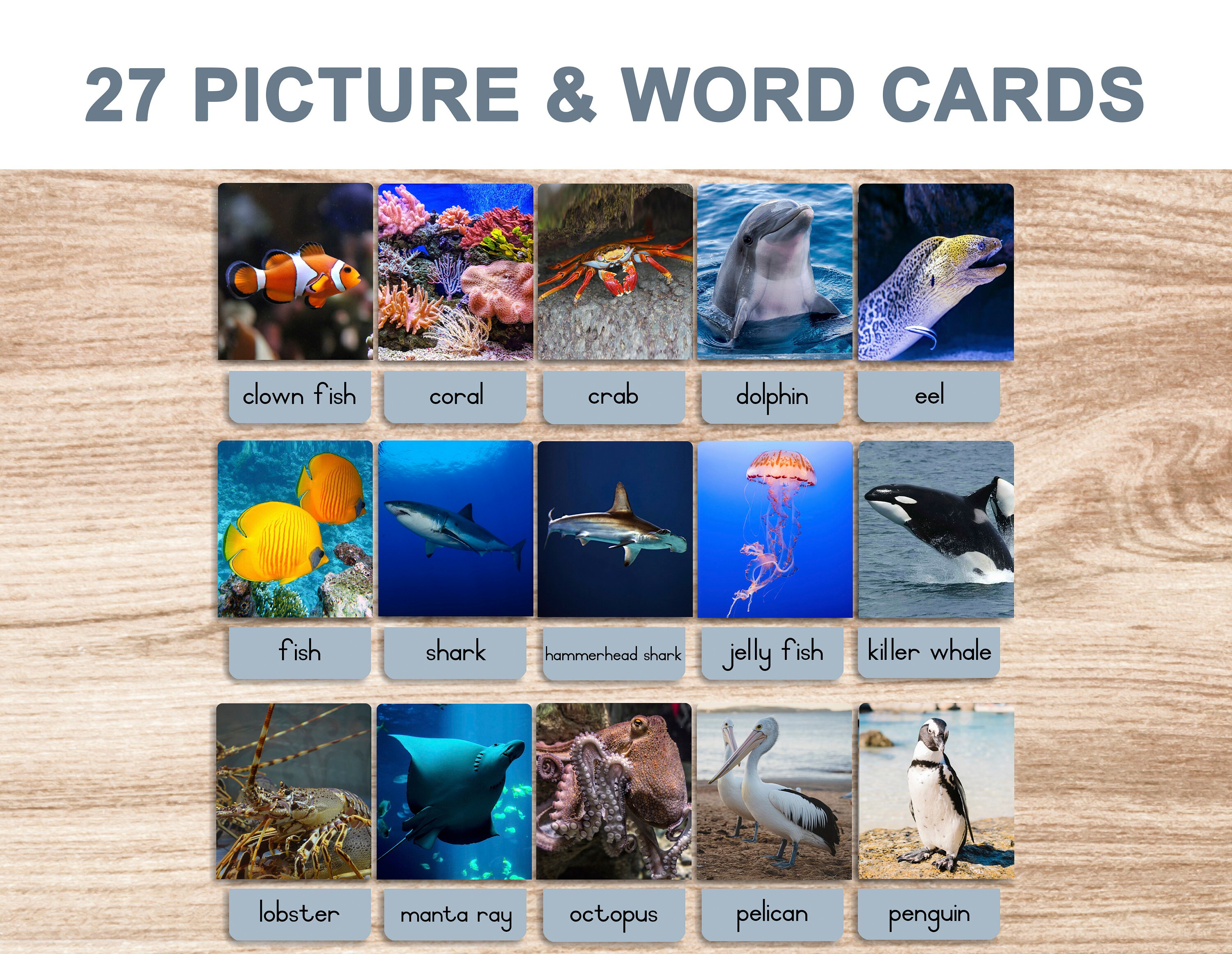 Sea Animals Printable Flash Cards 3 Part Cards Montessori Cards BONUS ...