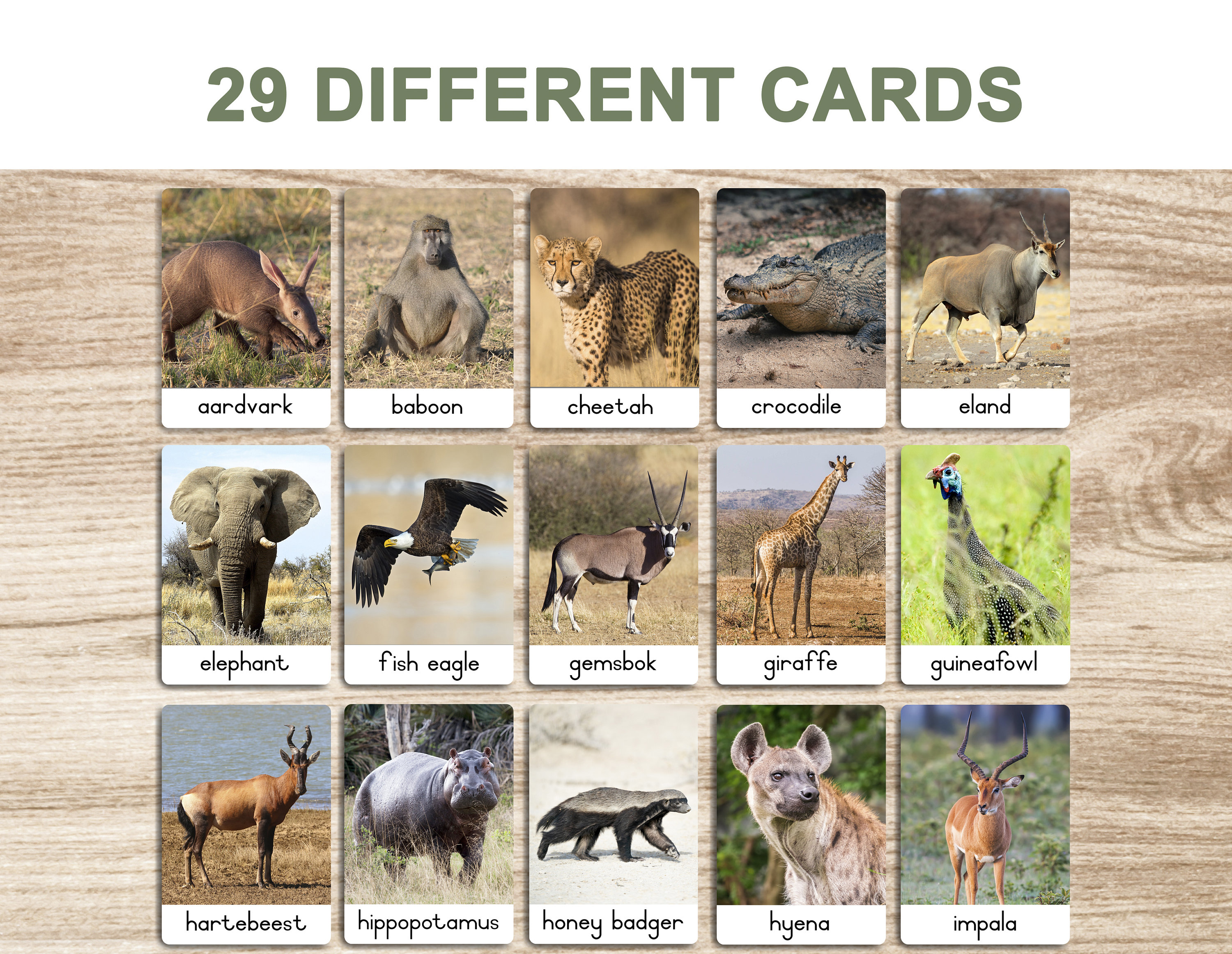 Safari Animals Printable Flash Cards 3 Part Cards Montessori Cards safari-animals-printable-flash-cards-3-part-cards-montessori-cards
