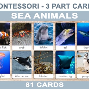 Sea Animals • Printable Flash Cards • 3 Part Cards • Montessori Cards • BONUS Letter Tracing