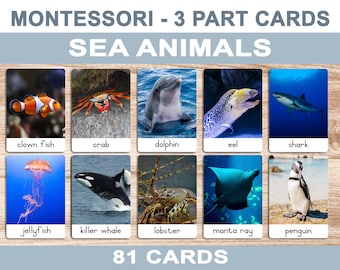 Sea Animals • Printable Flash Cards • 3 Part Cards • Montessori Cards • BONUS Letter Tracing