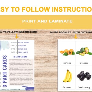 Fruits • Printable Flash Cards • 3 Part Cards • Montessori Cards ...