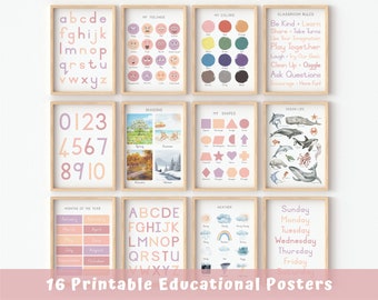 Set of 16 Educational Posters - Blush, Classroom Decor, Homeschool Prints, Montessori,  Educational Posters, DIGITAL DOWNLOAD
