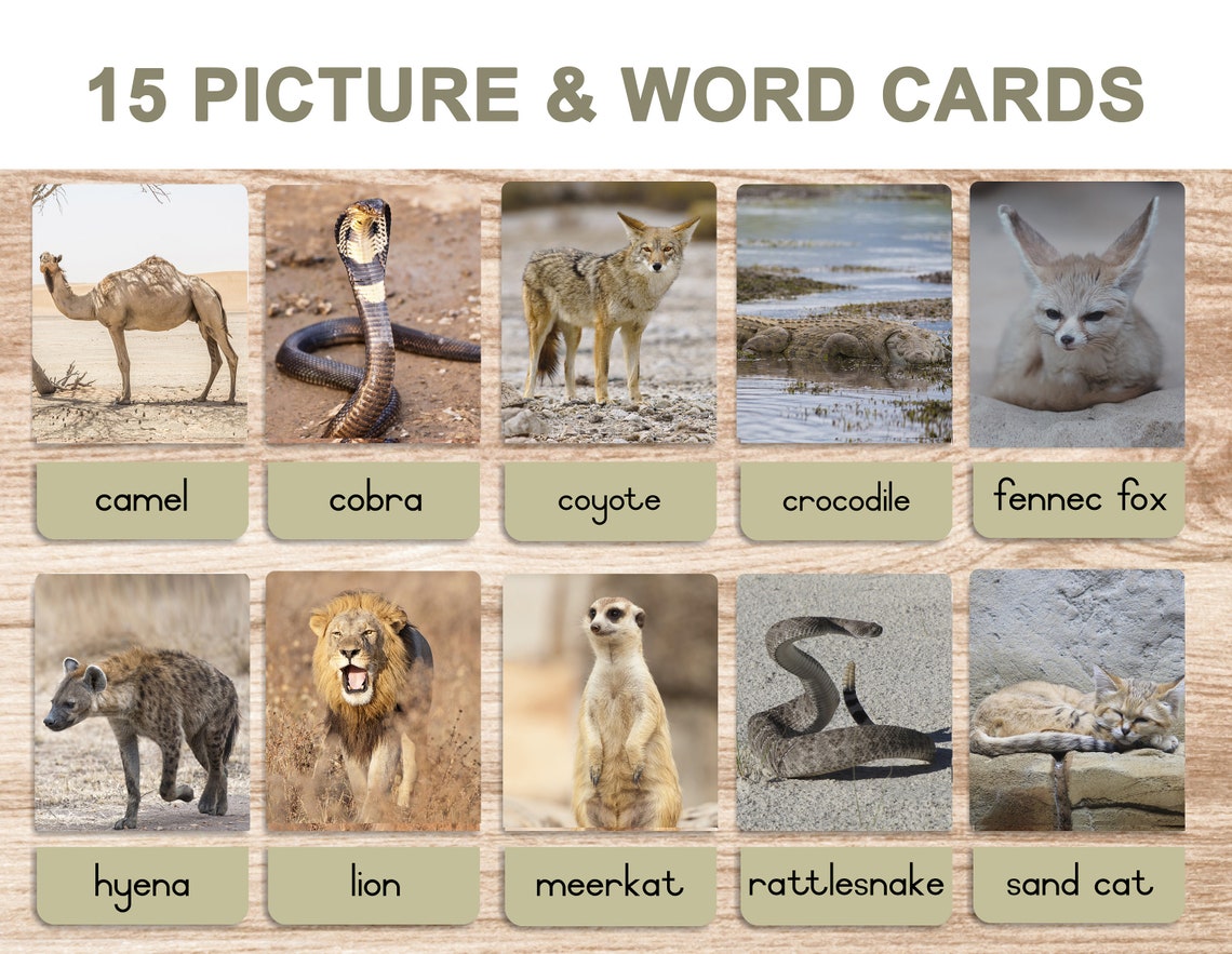 Desert Animals Printable Flash Cards 3 Part Cards Montessori Cards