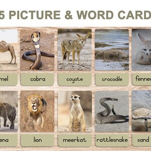 Desert Animals • Printable Flash Cards • 3 Part Cards • Montessori ...